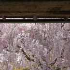 門をくぐれば幸せ満ちて