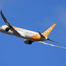 「ブルー」scoot 787-9 9V-OJD Takeoff 