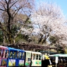 こども遊園地に訪れた早春－１