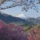 平日の富士山1086