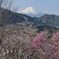 平日の富士山1091