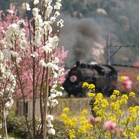 大井川鉄道