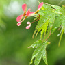 春雨じゃぁ～