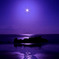 月夜の海原