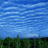 うろこ雲　空一面に