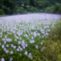 石土池