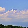 雲間の未練富士