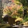 紅葉と西山荘