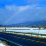 虹と雪景色