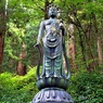 箱根山麓深森散歩:杉木立におわす十一面観音