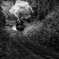 Steam Locomotive