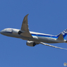 「青色が好き」 ANA 787-9 JA875A  Takeoff 