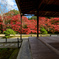 南禅寺　天授庵の紅葉