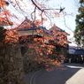 上田城と紅葉色づく