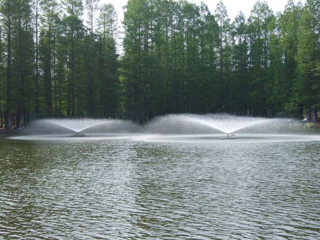 DSCF2001