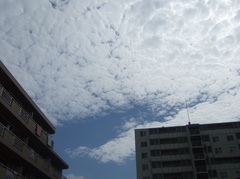 うろこ雲とマンション