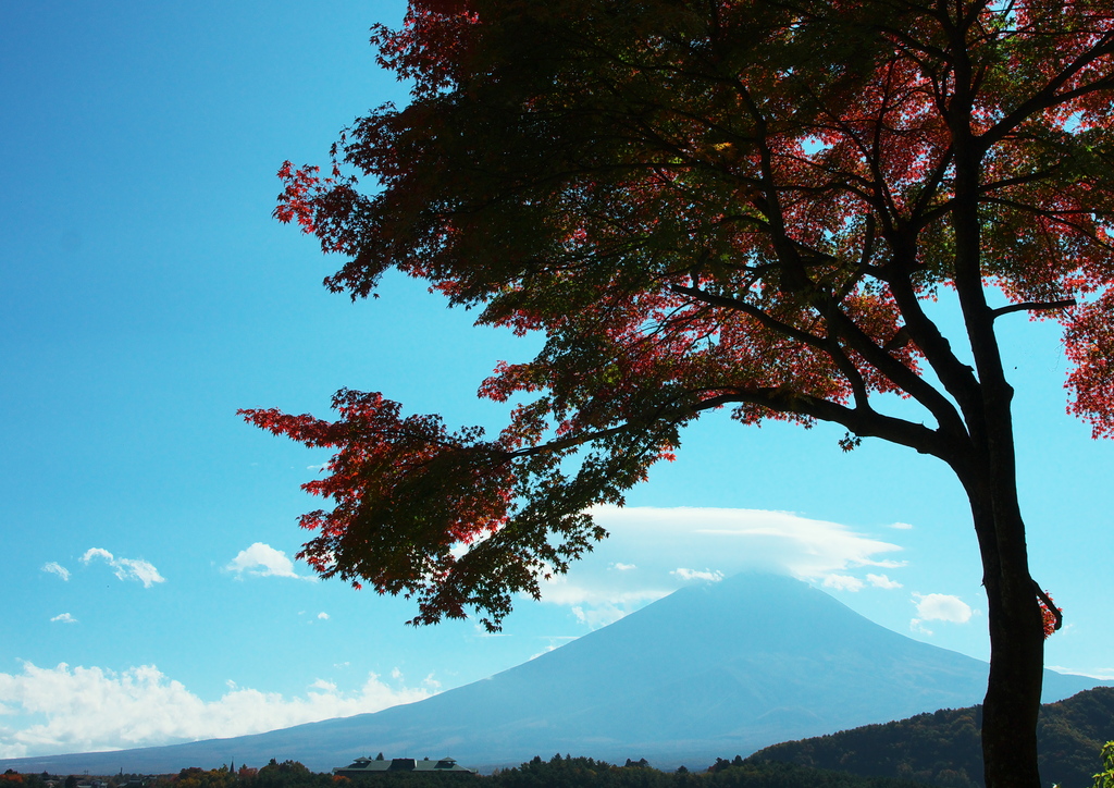 河口湖からの富士山