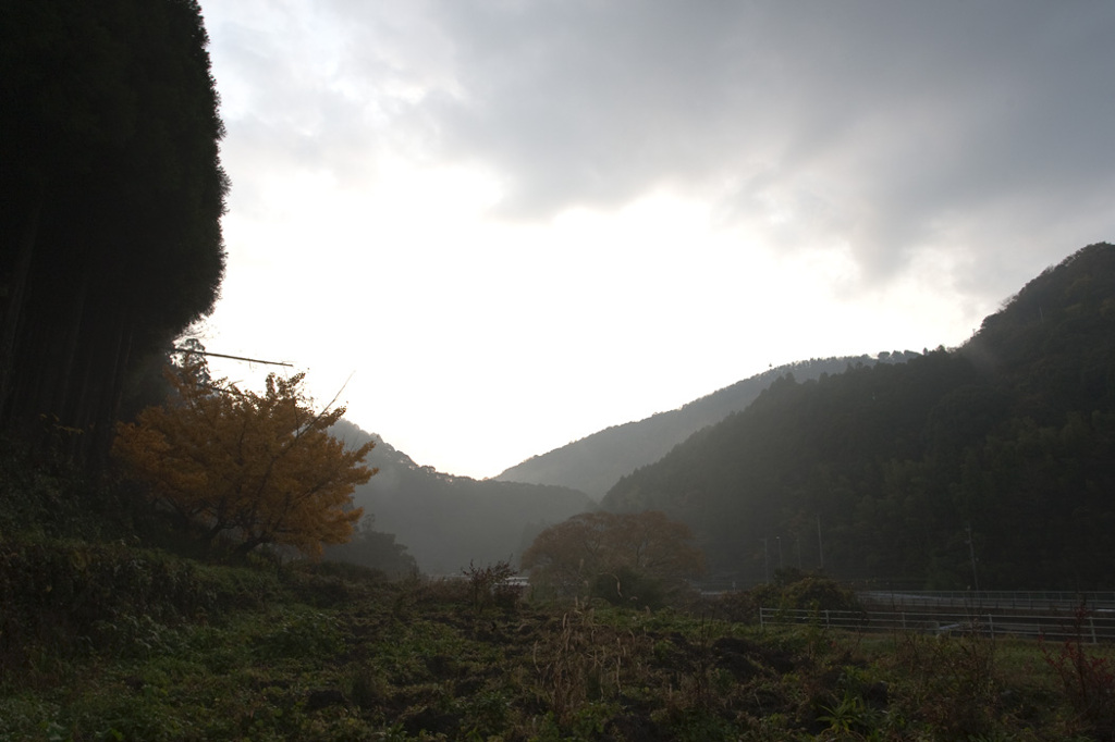 雨上がり