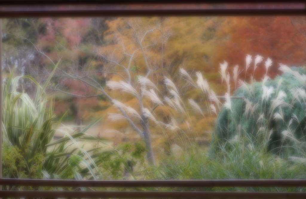 秋