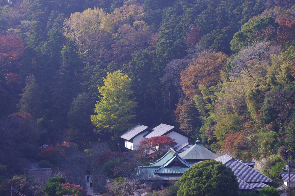 円覚寺弁天堂から見た東慶寺