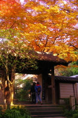 ともかくもあなた任せの年の暮れ（一茶）