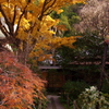 瑞泉寺（本殿脇より）