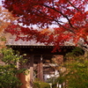 海蔵寺裏門前