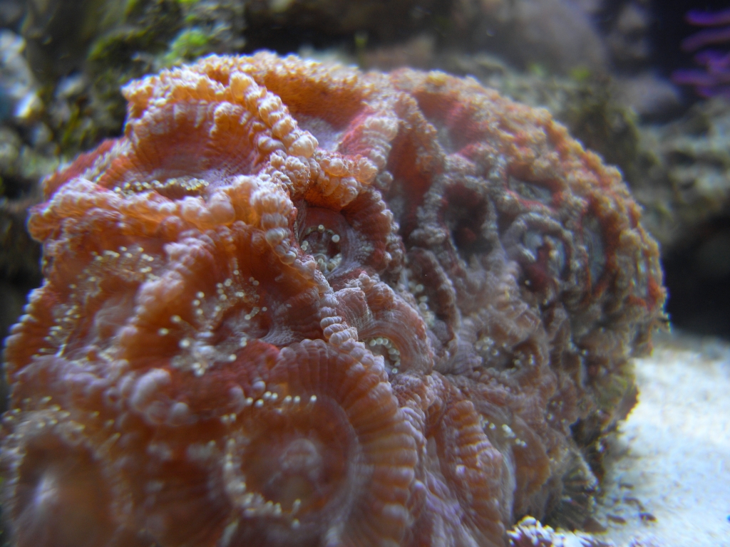 R0011759