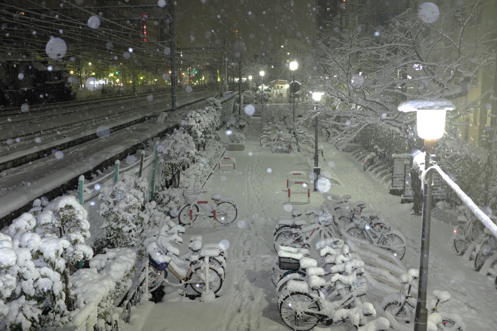 1/22 東京大雪