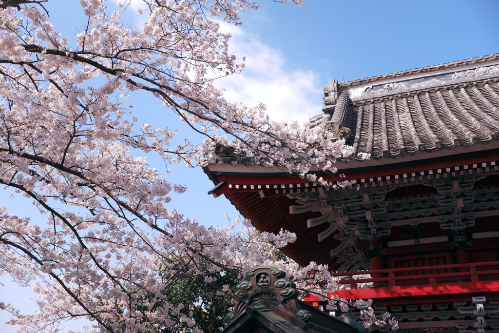 雨引観音(雨引山楽法寺)