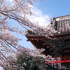 雨引観音(雨引山楽法寺)