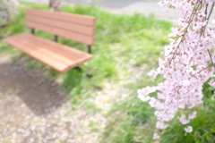 桜とベンチ（日中線のしだれ桜）