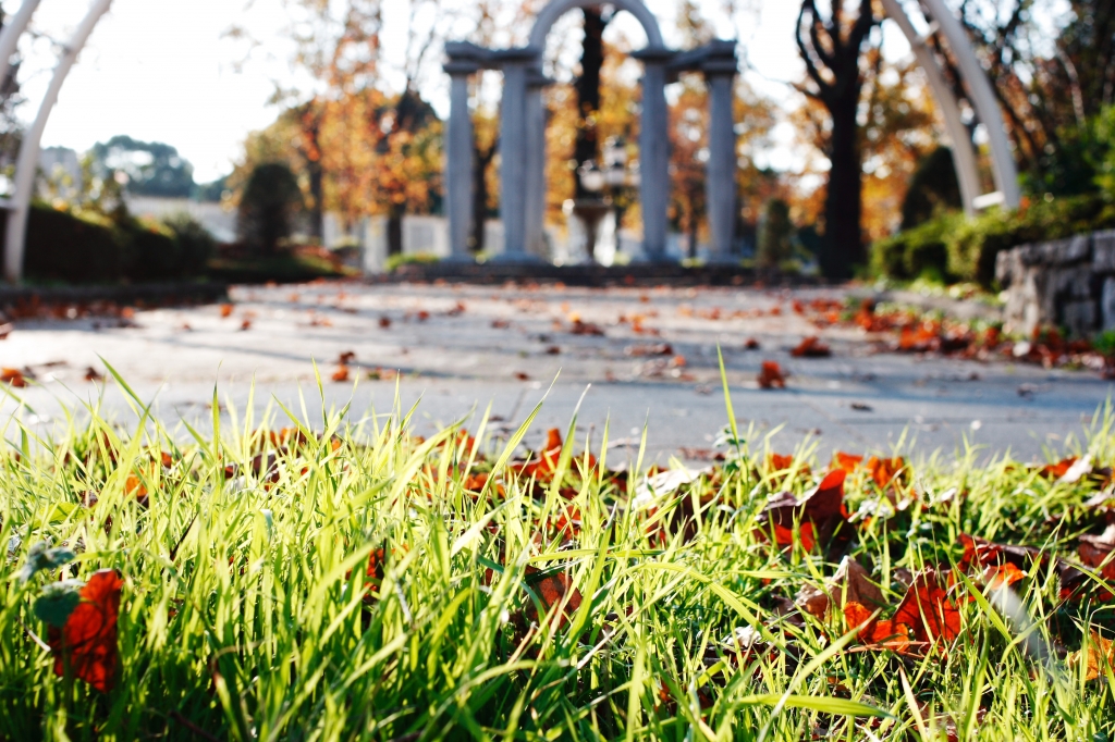 in the autum