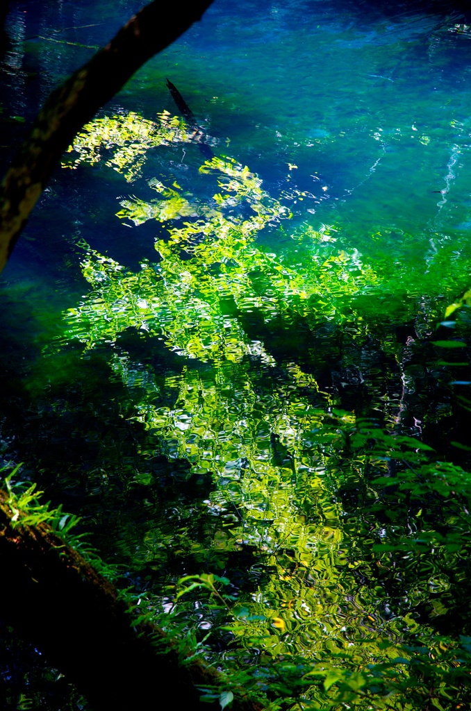 水鏡