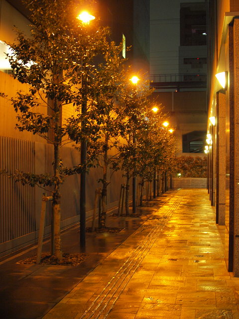 なんか路地裏