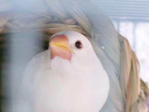 ママはドコ？