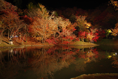 用作（ゆうじゃく）公園（大分県豊後大野市朝地町）