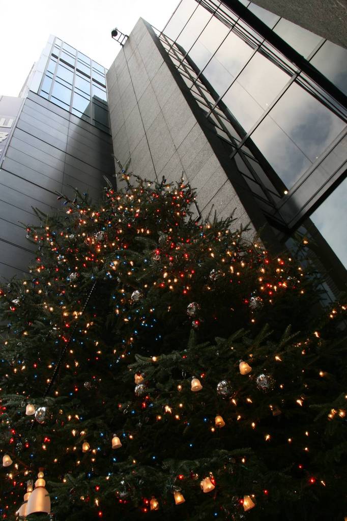 ビルの谷間のクリスマスツリー