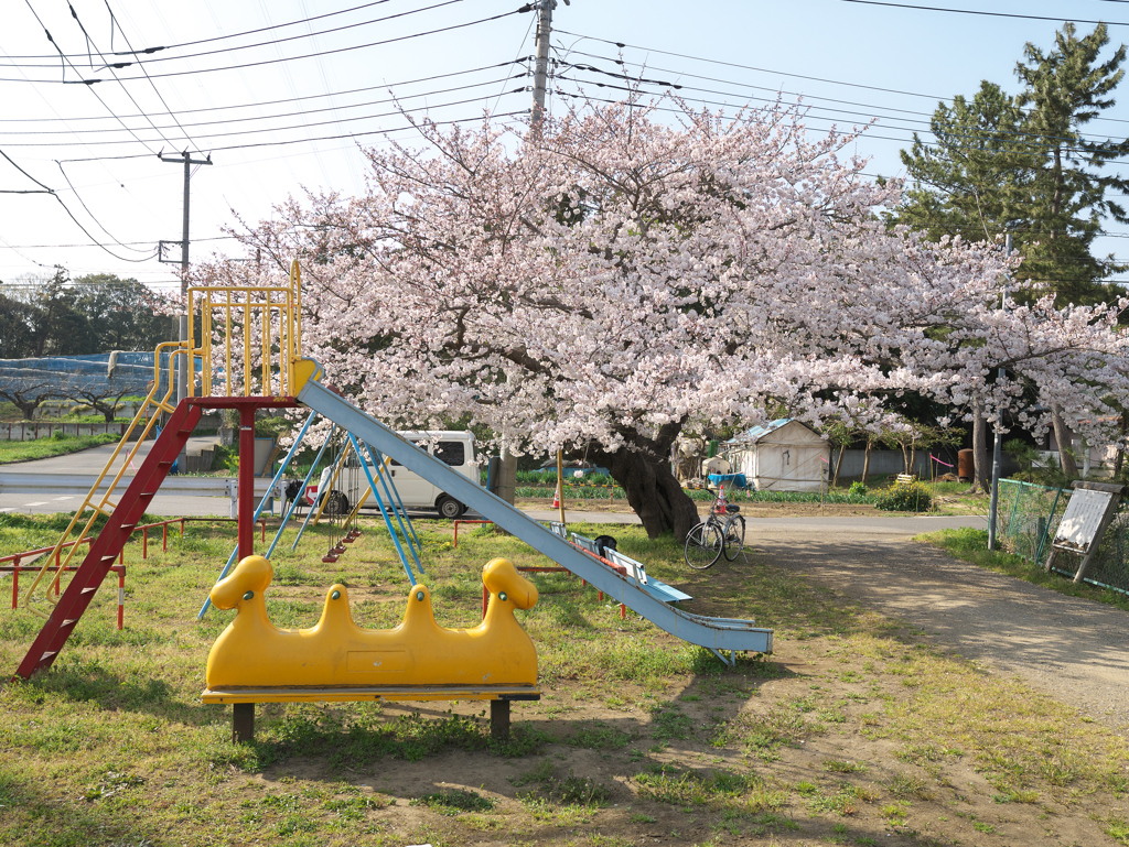 子供の遊び場　春