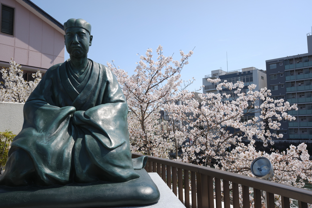 芭蕉と桜