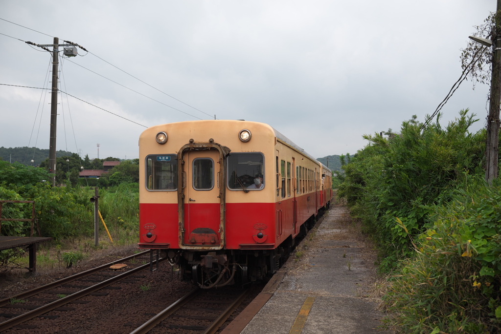 小湊鉄道キハ200系