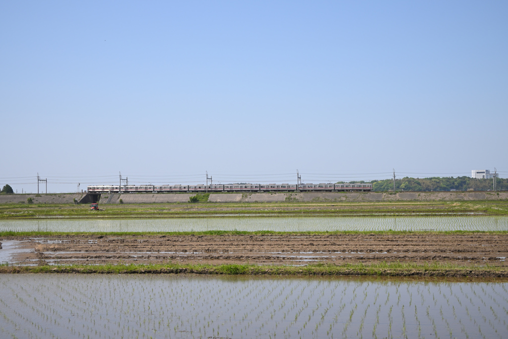 田植えの季節