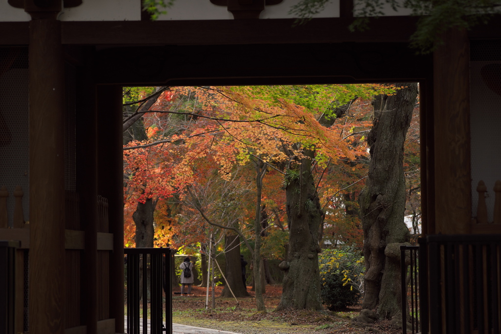 東漸寺の紅葉