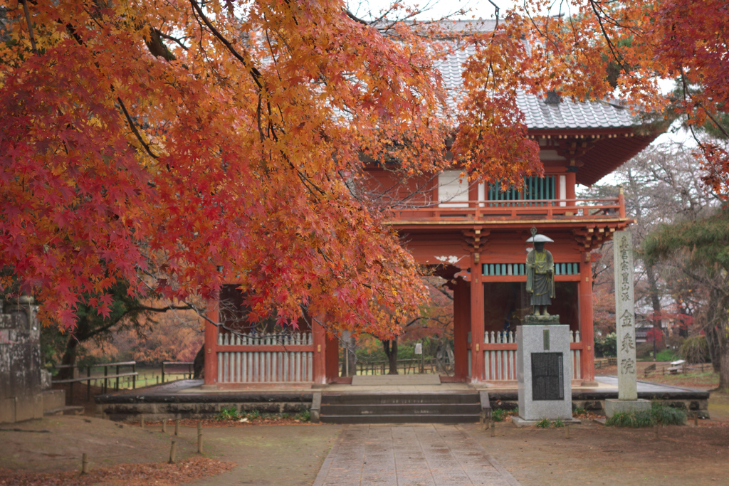 清水公園の紅葉