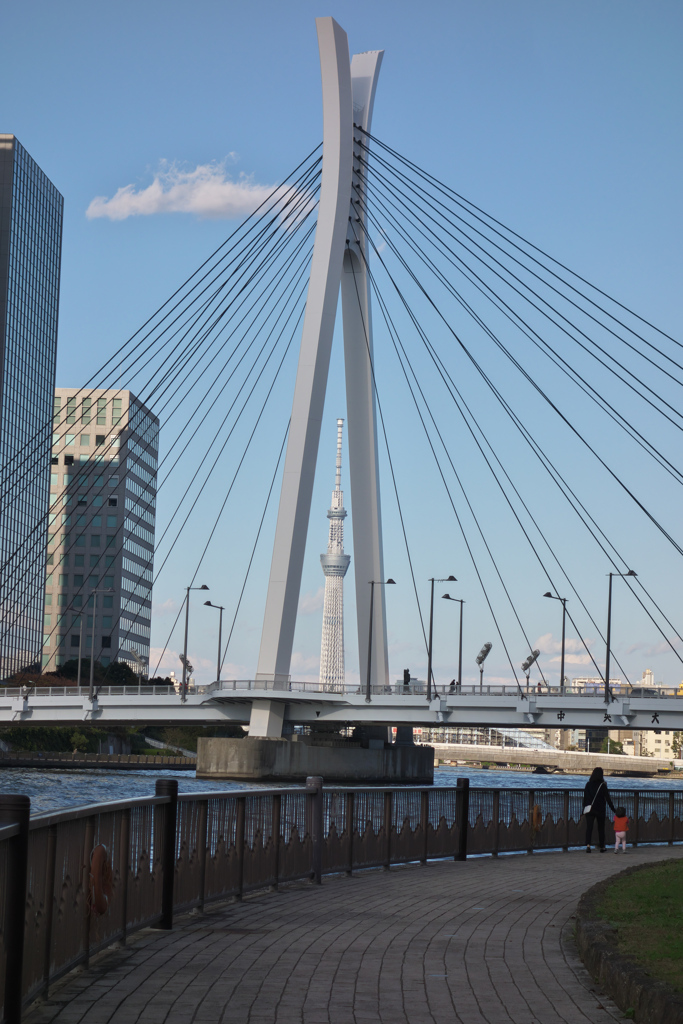 中央大橋とスカイツリー