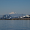 初撮りは富士山