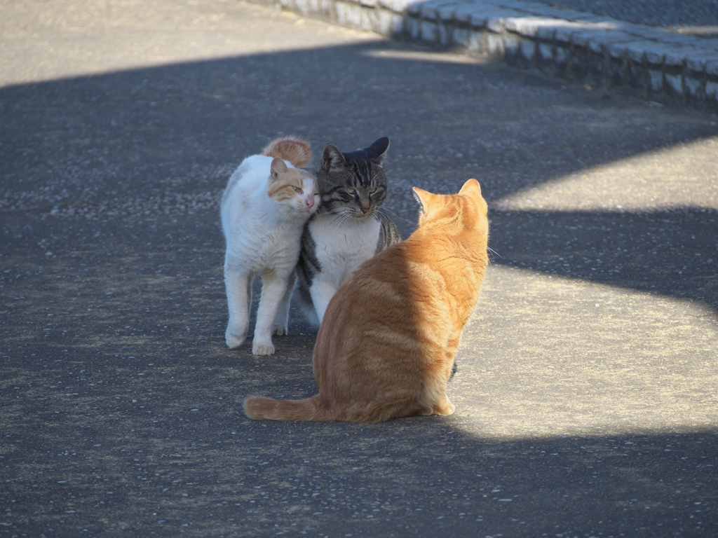 俺の女に手を出すな