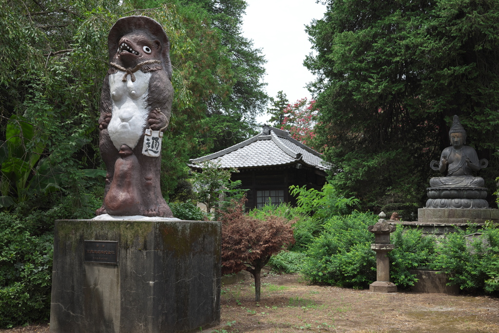 茂林寺の狸