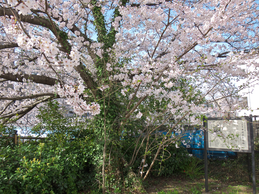 二代目　中村芝翫宅跡