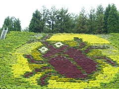 宇治植物園